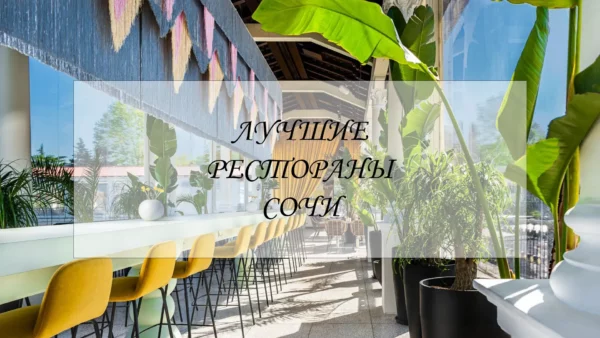 Лучшие рестораны Сочи