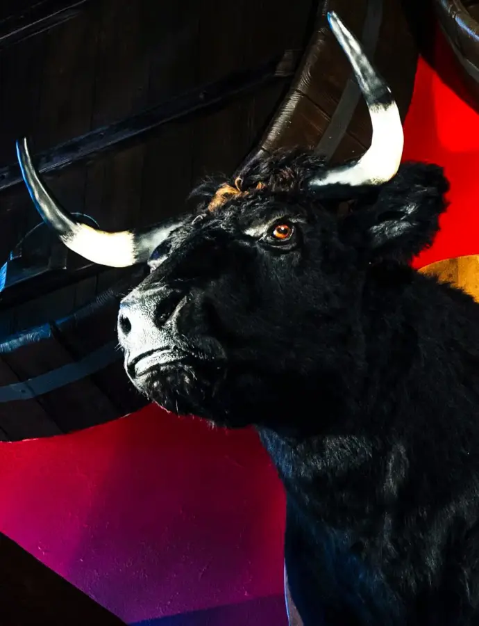 El Asador: гастрономическая культура севера Испании