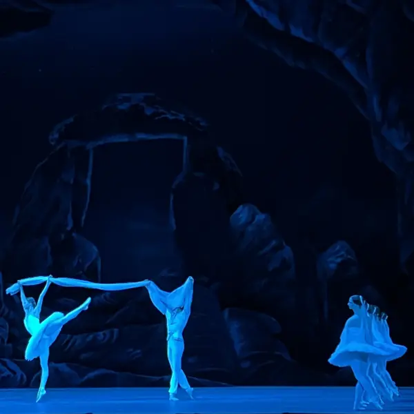 Третий акт балета «Баядерка»